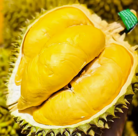 Durian